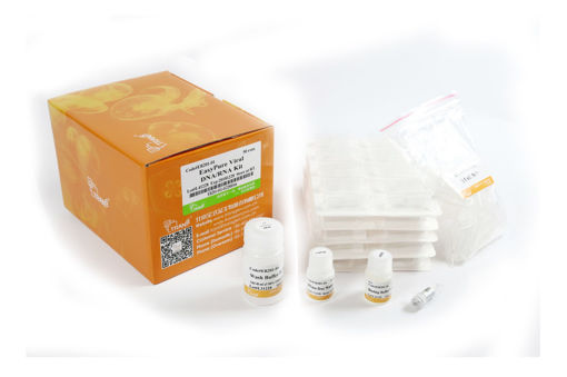 EasyPure Viral  DNA/ RNA Kit. Transgen Biotech