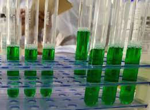 Caldo de bilis verde brillante 2% ISO, 500gr. Condalab