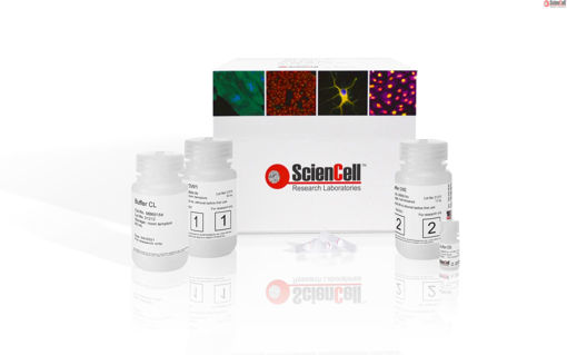 Kit de aislamiento SpeeDNA ScienCell