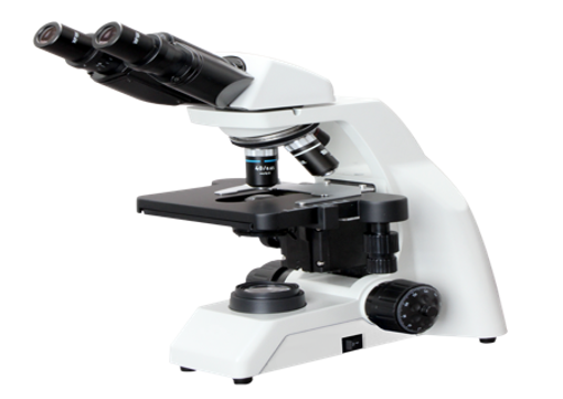 Microscopio vertical MB-136 para laboratorio microbiológico