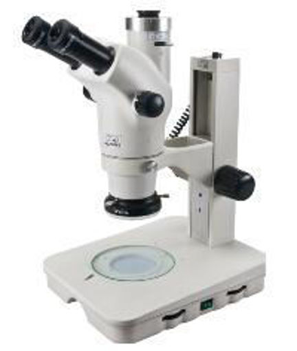 Estereomicroscopio SZ-168T para rutina en investigaciones biológicas