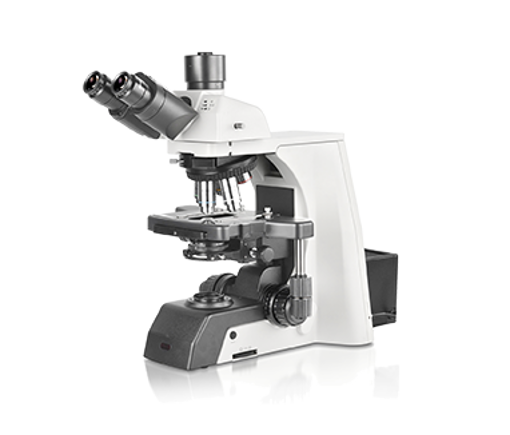 Microscopio vertical NE-910 para investigación biológica/patología. Nexcope