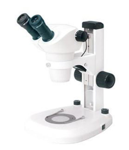 Microscopio vertical MB-136B Plan para laboratorio microbiológico. Nexcope