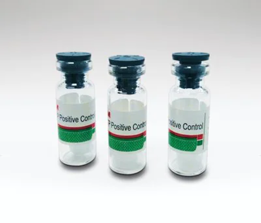LWATP10 WATER POSITIVE CONTROL, 3NGATP x 10 unidades