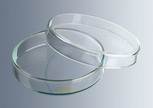 Cajas de Petri en vidrio, esterilizables hasta 135ºC