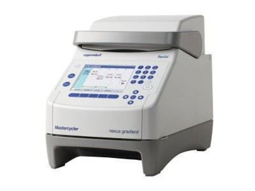 Termociclador PCR Mastercycler Eppendorf Nexus Gradient