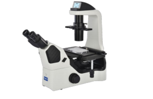 Microscopio Invertido NIB-610 FL