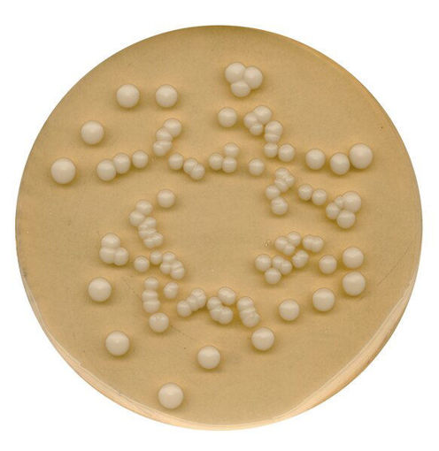 Agar patata-glucosa para microbiología GranuCult®,  500 gr. Merck