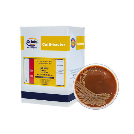 Placa petri agar chocolate, 10 uds. Bio Bacter
