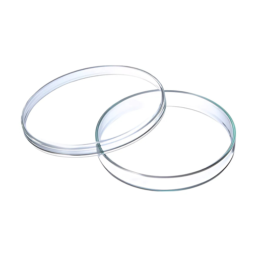 Caja Petri, vidrio, x paquete. PetriQ