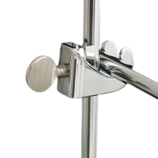 Nuez, sencilla. Labscient