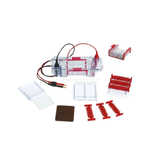Cámara para electroforesis horizontal en gel. Tanon