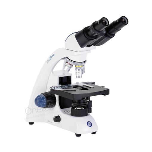 Microscopio binocular, luz LED, bioBlue biológico. Euromex