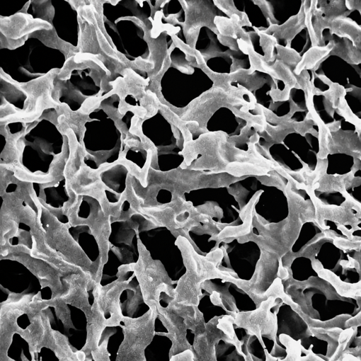 Membrana para filtración fisicoquímica Durapore PVDF, 0,22 µm x 47 mm. Merck