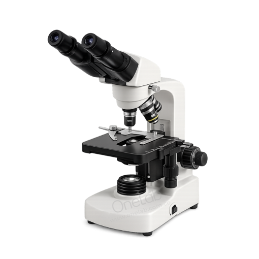 Microscopio Binocular BM -117. Boeco