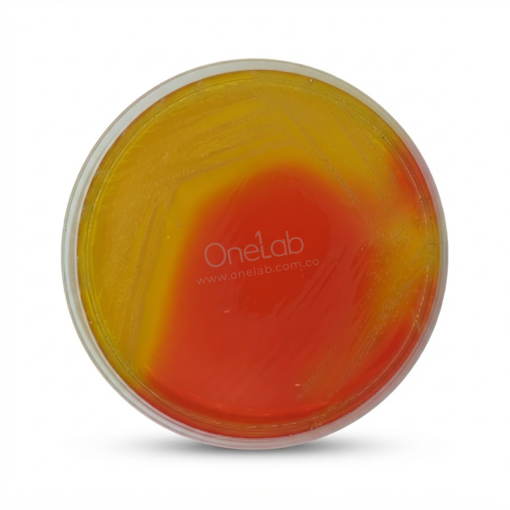 Base de agar selectivo burkholderia cepacia USP, x 550 g. Condalab