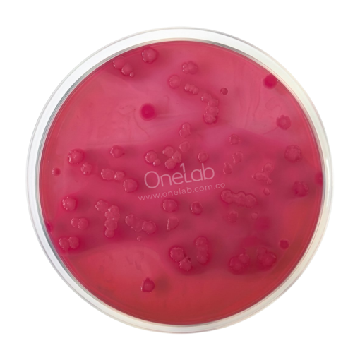 Agar bilis y rojo violeta con glucosa (VRBG) EP/USP/ISO, 500 g. Condalab